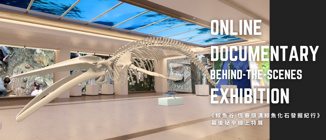 《鯨魚谷:恆春頭溝鯨魚化石發掘紀行》  幕後祕辛線上特展